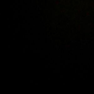 Meet your Posher, Bodvita